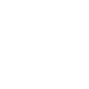 Business Advisory icon