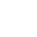 Financial Planning icon