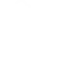 Risk Management icon